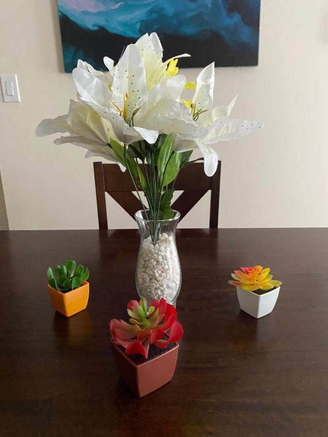 Private Room In South Philly Near Arenas! Philadelphia Luaran gambar